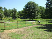Enlarge photo 17