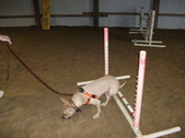 Enlarge photo 31
