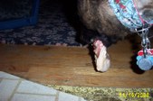 Enlarge photo 14