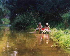Enlarge photo 53