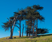 Enlarge photo 8