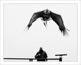 Enlarge photo 18