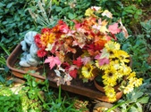Enlarge photo 7