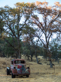 Enlarge photo 16