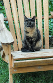 Enlarge photo 22