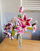 Enlarge photo 20