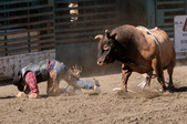 Enlarge photo 9