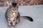 Fuji X-T2 test image