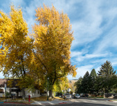 Enlarge photo 17