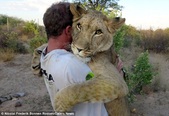 Enlarge photo 22