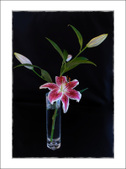 Enlarge photo 2