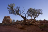 Enlarge photo 22