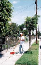 Enlarge photo 31