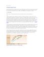 Enlarge PDF 7