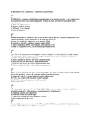 Enlarge Microsoft Word Document 3