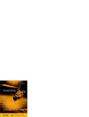 Enlarge PDF 1