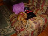 Enlarge photo 16