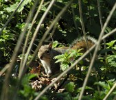 Enlarge photo 26