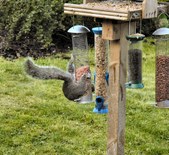 Enlarge photo 29