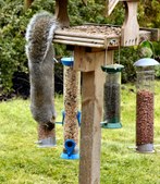 Enlarge photo 30