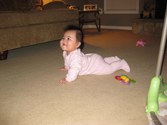 Enlarge photo 41