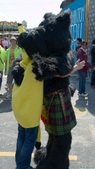 Enlarge photo 37