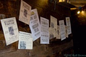 Enlarge photo 57