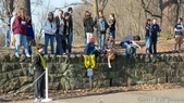 Enlarge photo 62