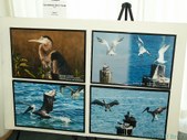 Enlarge photo 15