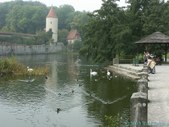 Enlarge photo 19