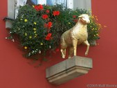 Enlarge photo 37