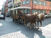 Enlarge photo 39