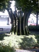 Enlarge photo 6