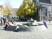 Enlarge photo 24