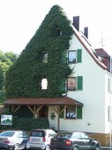 Enlarge photo 27