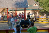 Enlarge photo 61