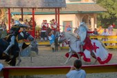 Enlarge photo 70