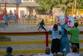 Enlarge photo 73
