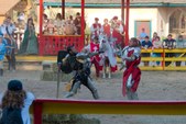 Enlarge photo 74