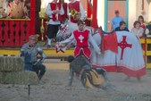 Enlarge photo 79