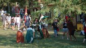 Enlarge photo 54