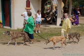 Enlarge photo 27