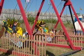 Enlarge photo 30