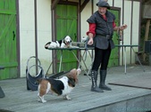 Enlarge photo 2