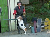 Enlarge photo 4
