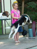 Enlarge photo 12