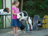 Enlarge photo 14