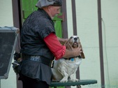 Enlarge photo 16