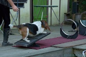 Enlarge photo 18