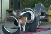 Enlarge photo 19